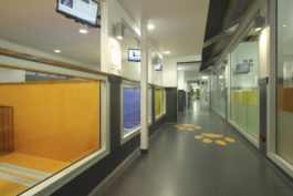 Dom-zdravlja-hallway